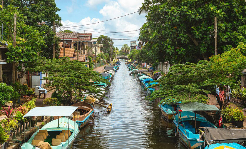 freewheeling-in-sri-lanka