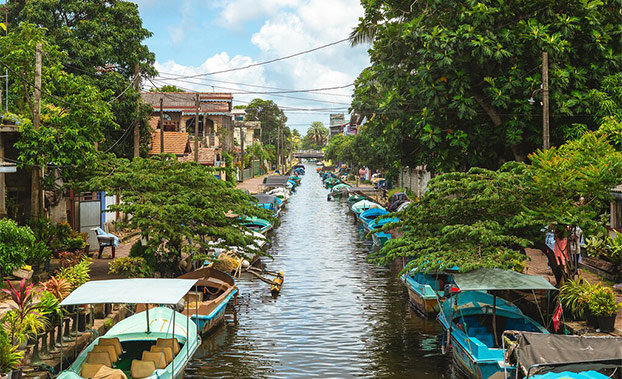 freewheeling-in-sri-lanka