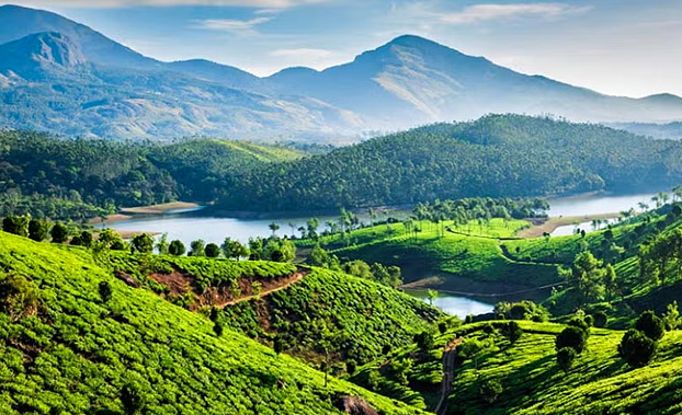 laidback-in-lakkidi