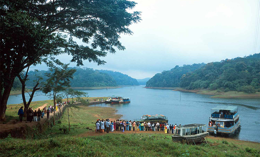 periyar-s-healing-nature-nourished-sojourn