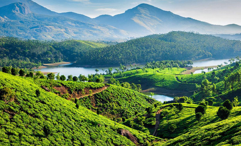 rewiring-your-wellbeing-in-mistical-munnar