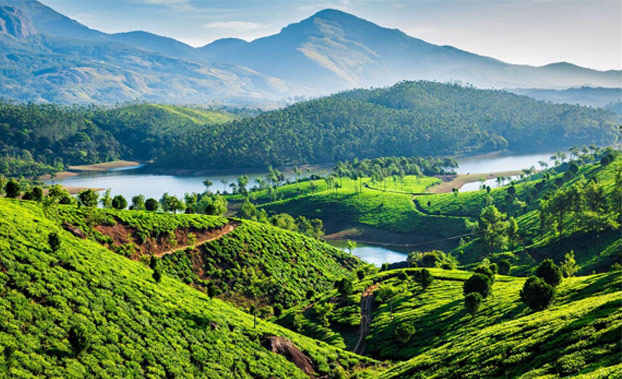 rewiring-your-wellbeing-in-mistical-munnar