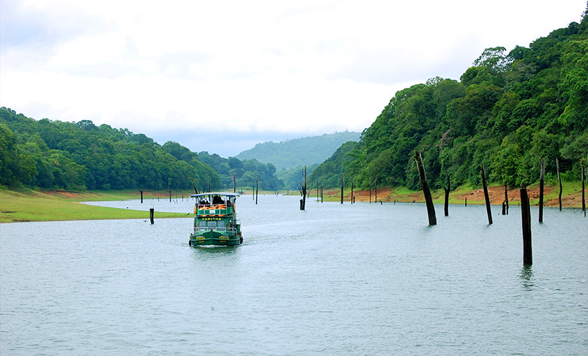 thekkady-travels-in-wild-kerala