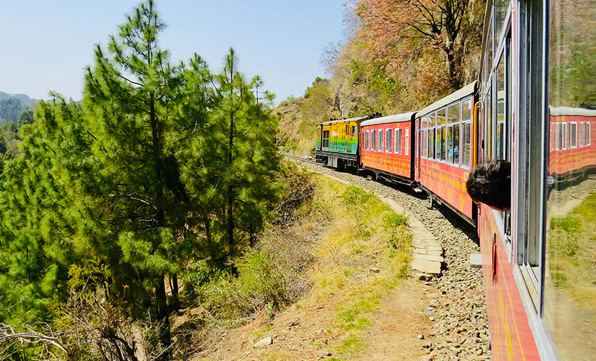 best-things-to-do-in-shimla