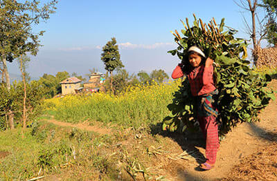 dhulikhel