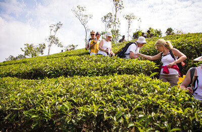 munnar