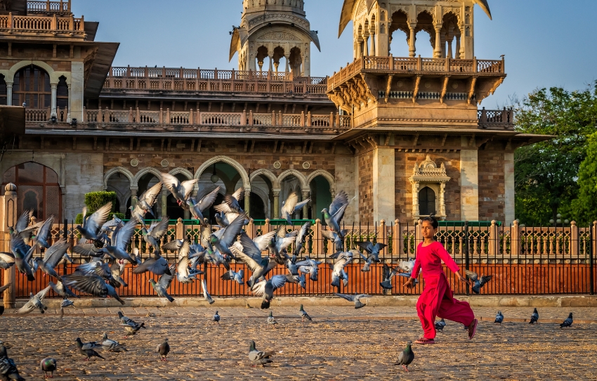 old-delhi-tour-on-luxurious-rickshaws