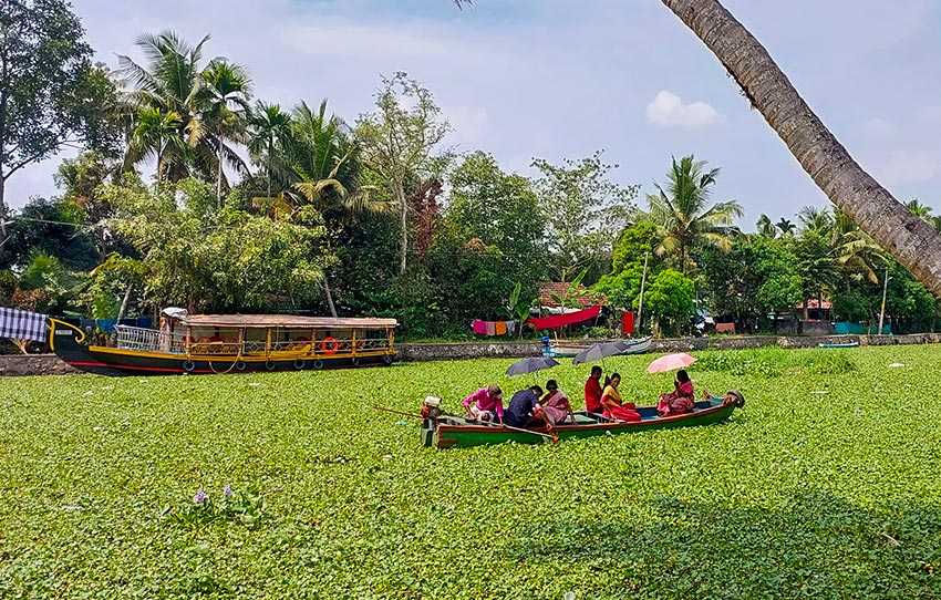 Alleppey-Village-Walk01.jpg
