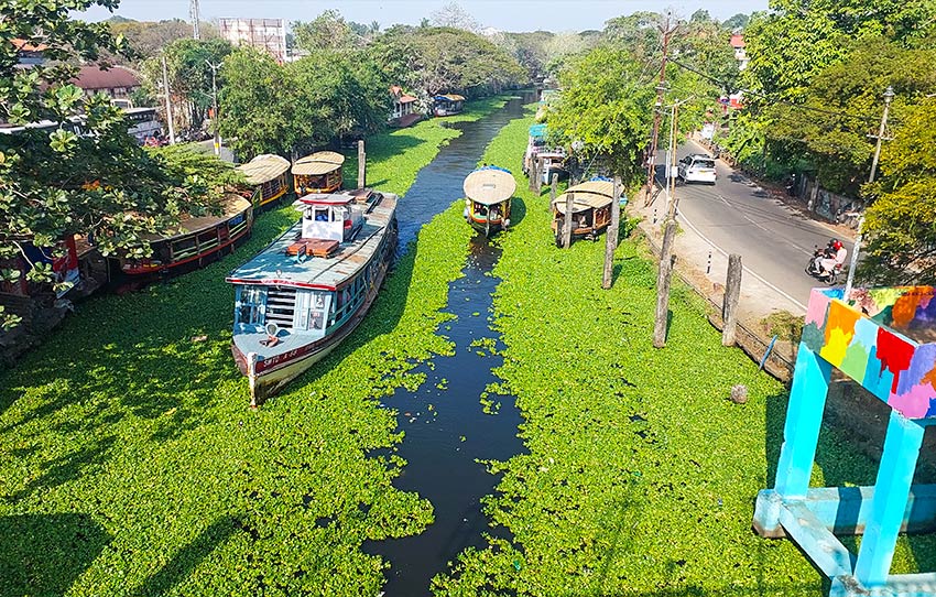 alleppey-village-walk-a-stroll-through-kerala-s-backwaters