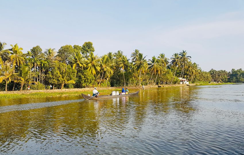 alleppey-magic