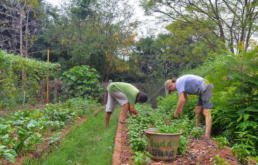auroville-beyond-mantri-mandir