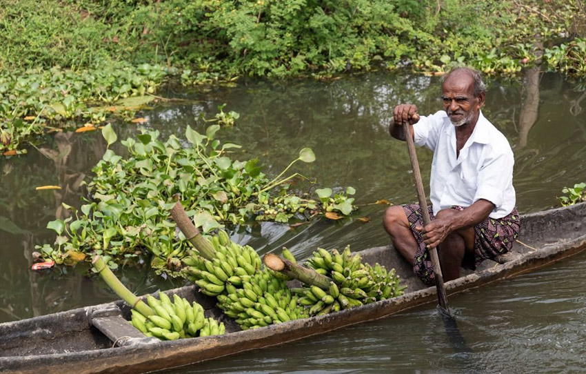 beyond-the-backwaters