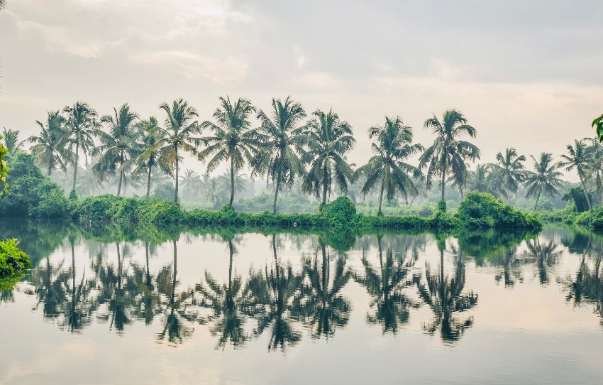 beyond-the-backwaters