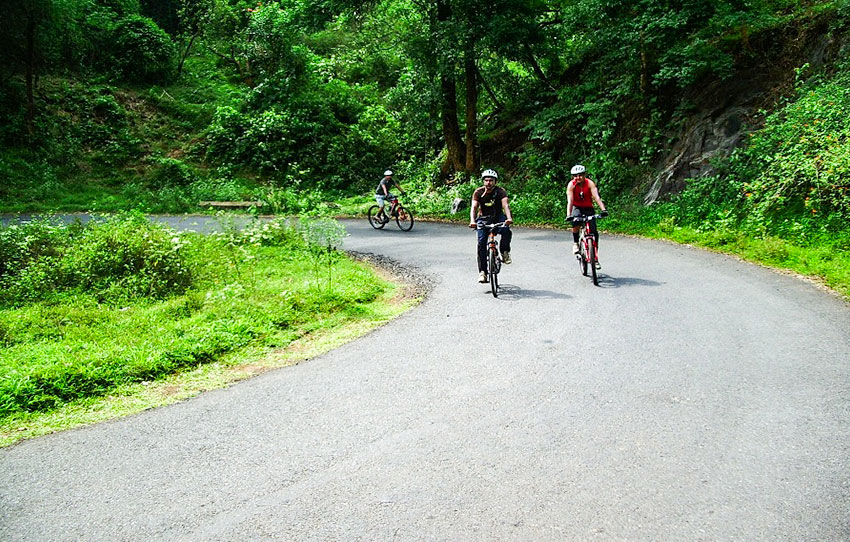 coffee-chronicles-by-cycle-coorg