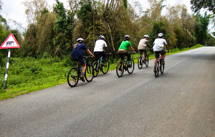 coffee-chronicles-by-cycle-coorg
