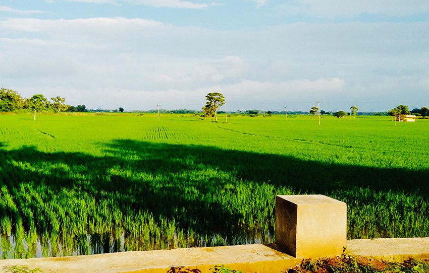 along-the-river-kaveri-a-village-life-experience