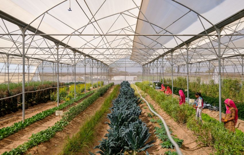 farm-tour