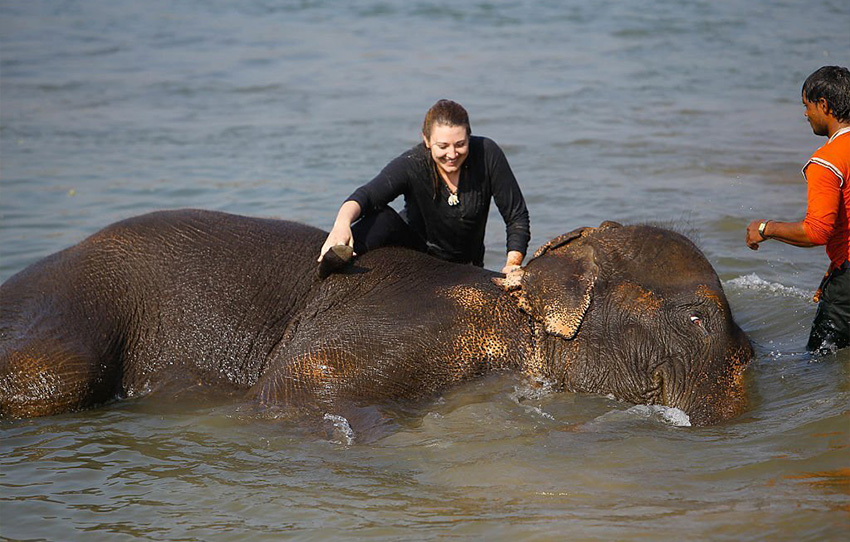 a-day-with-elephants