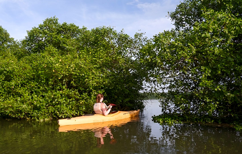 Kayak-Kochi01.jpg