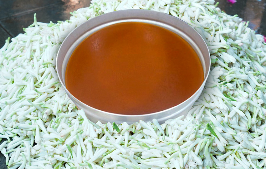 madurai-malli-jasmine-trail