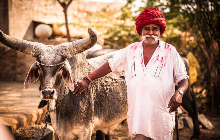 majestic-marvar-village-excursion-jodhpur