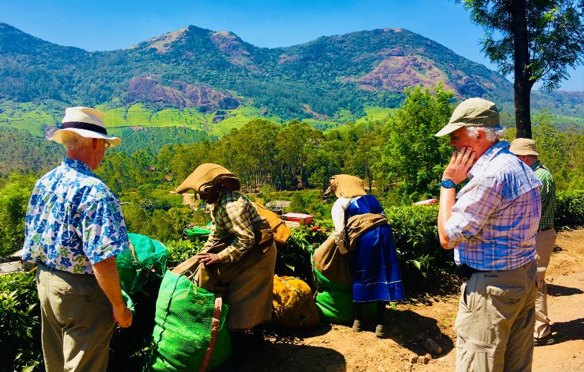 Make-your-own-tea-locals-munnar.jpg