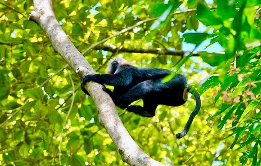 gavi-jeep-ride-inside-periyar-tiger-reserve