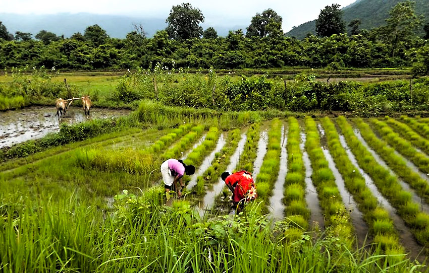 peace-on-the-kabini-wayanad