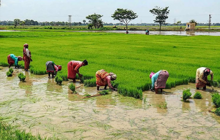 potters-trail-in-neeleshwar-culture-craft-and-community