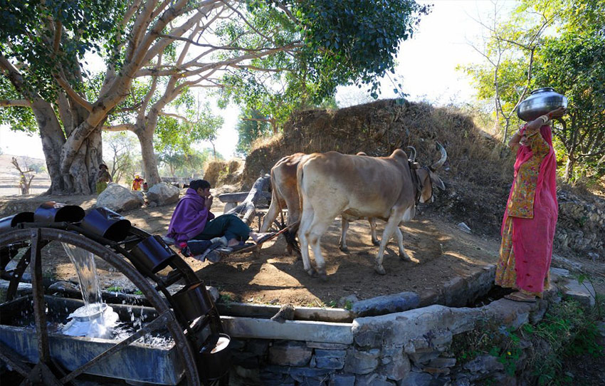 udaipur-rural-village-tour