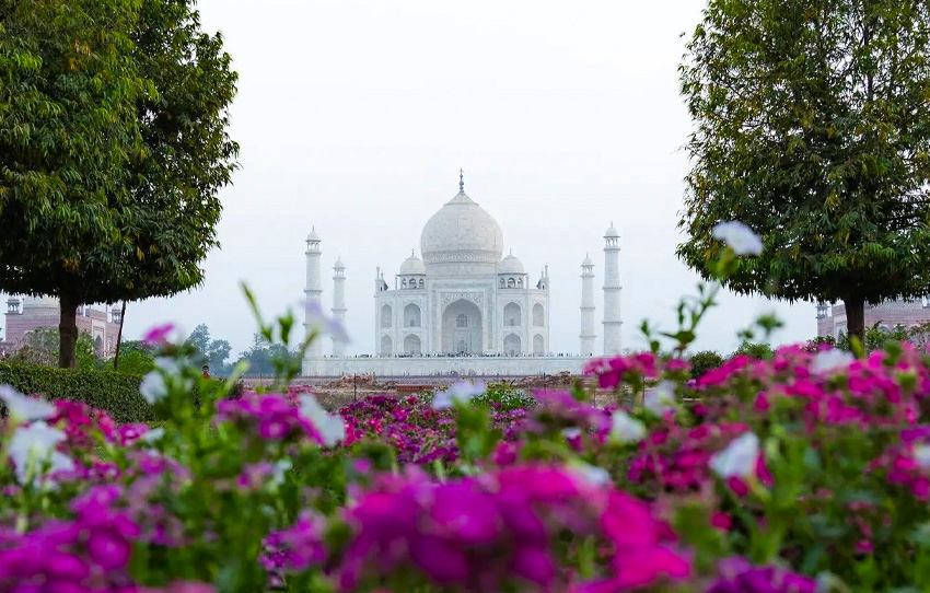scents-of-the-taj-a-mughal-inspired-perfume-journey-with-neha-vij
