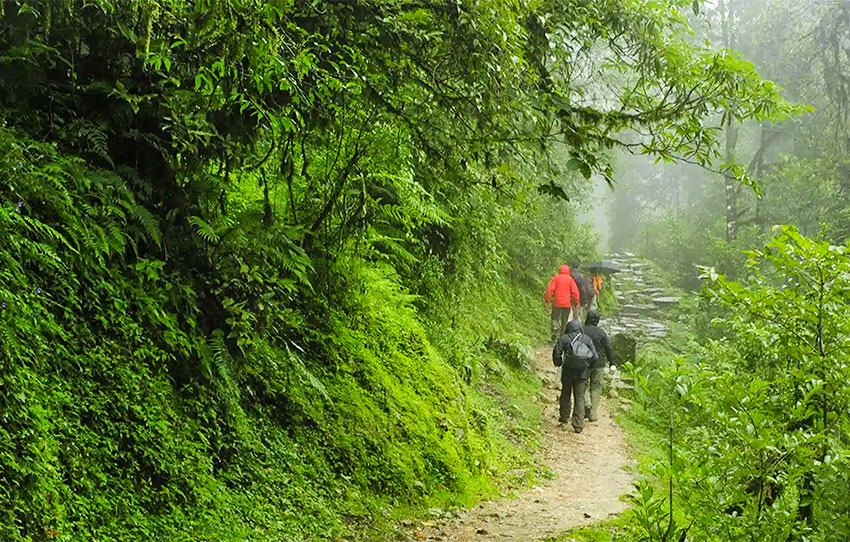 the-brahmagiri-trek-in-wayanad