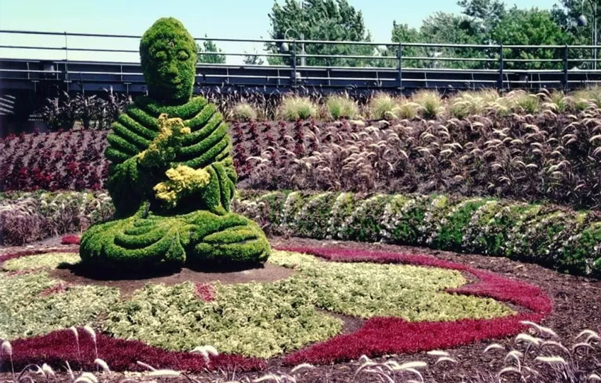 the-five-senses-tour-of-delhi