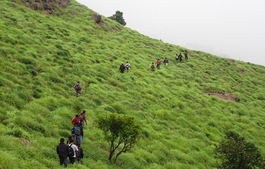 Trail-of-Clouds-Trek-coorg01.jpg