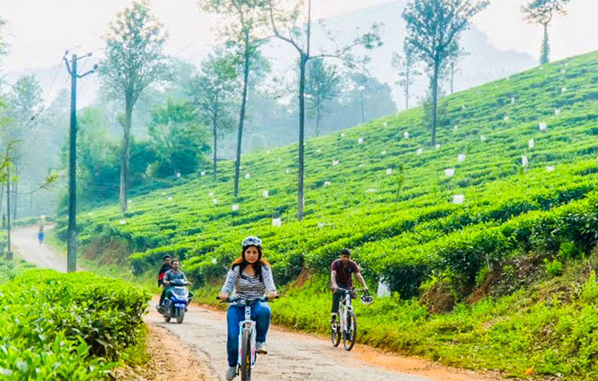 Wayanad-on-Wheels01.jpg