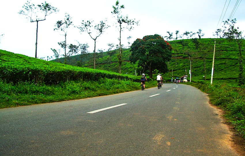 soul-of-wayanad-cycling-tour