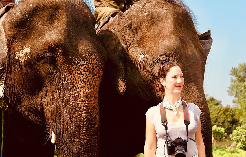 a-day-with-elephants