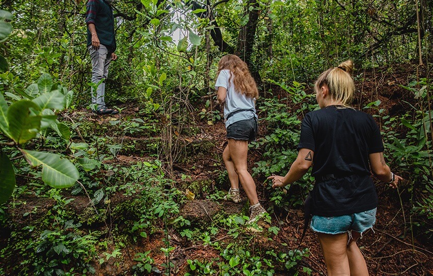 a-nature-trail-at-chorao