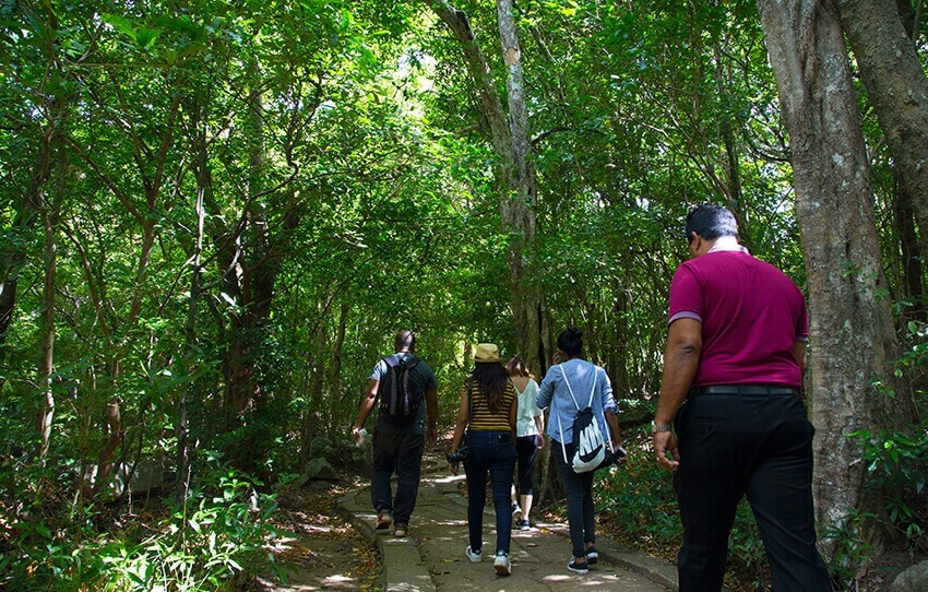 a-visit-to-ritigala-forest-monastery-with-a-local-guide