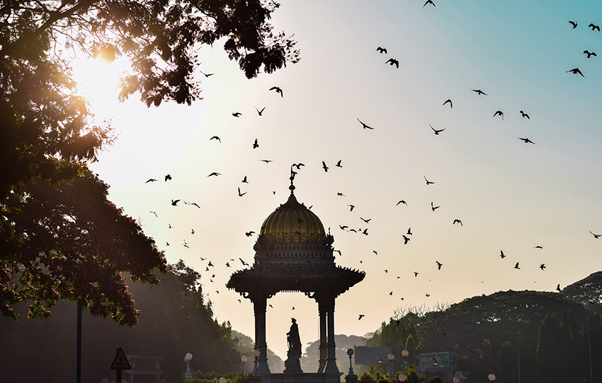 best-of-mysore-walk