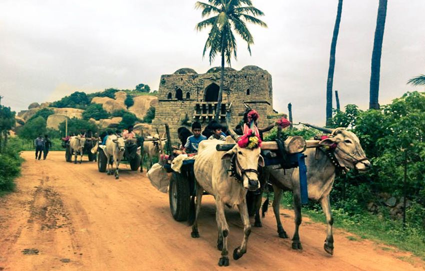 bullcart-ride-village-life-tour-hampi-through-the-eyes-of-its-people.jpg