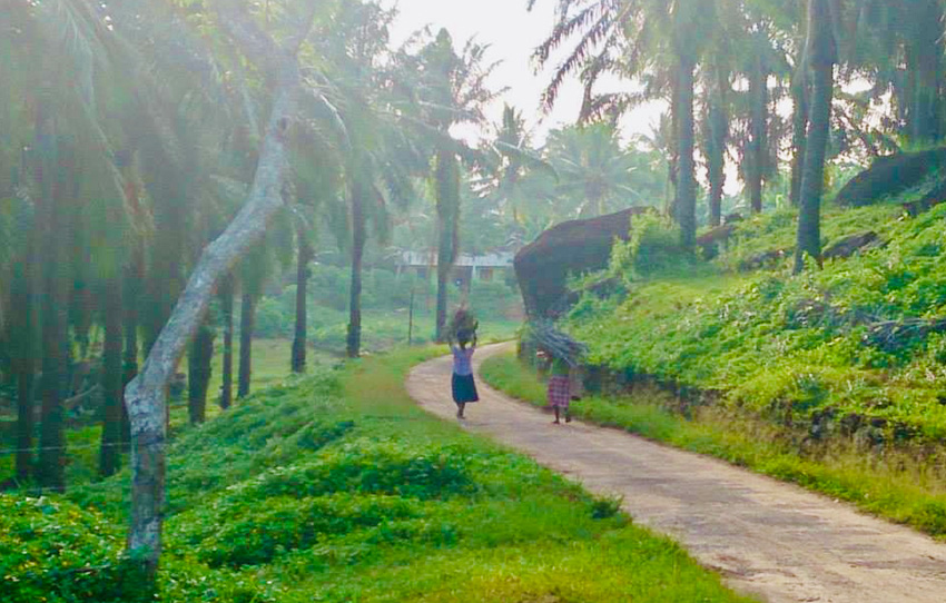 canoe-up-the-kapu-ela-canal-walk