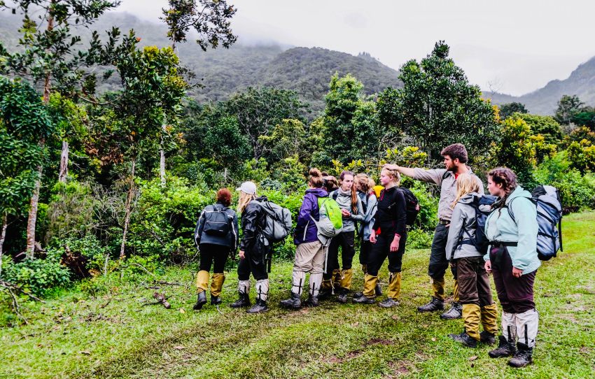 chokkarmudi-trek-group-munnar.jpg