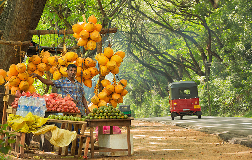 colombo-by-tuk-tuk