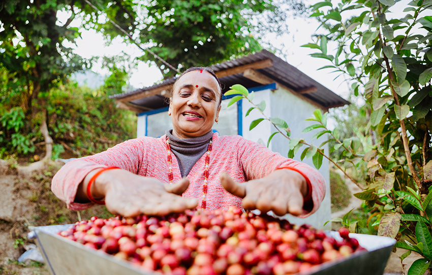 crop-to-cup-coffee