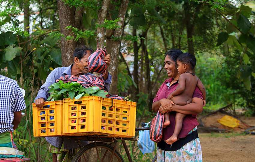 cycle-to-sigiriya-rock-fortress-through-rural-villages-accompanied-by-a-local