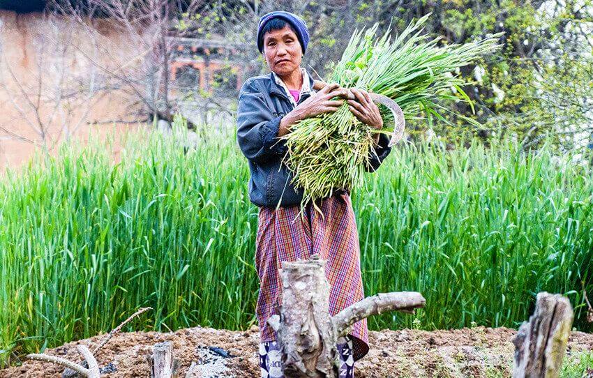 farmhouse-visit-with-bhutanese-dinner-with-a-local-family