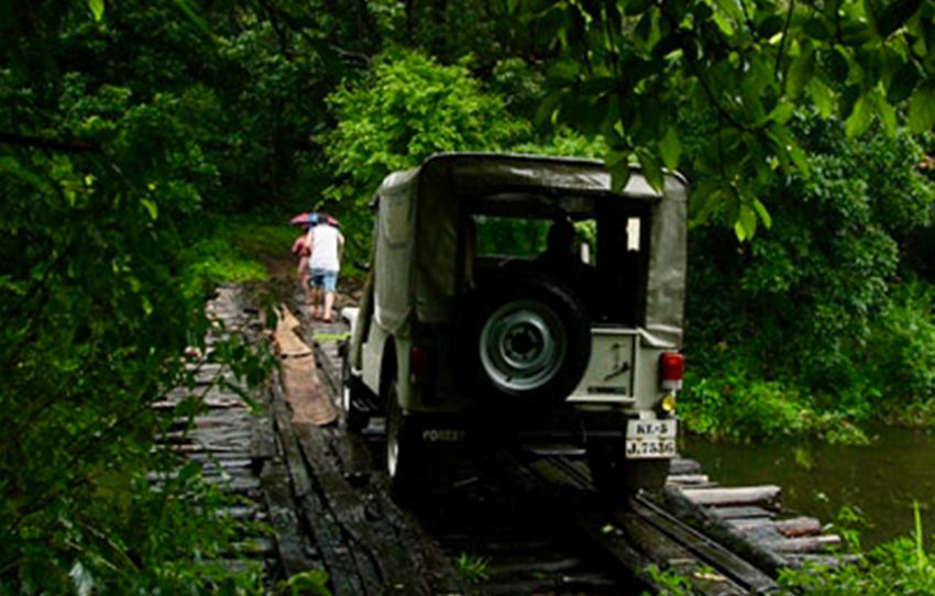 gavi-jeep-ride-inside-periyar-tiger-reserve