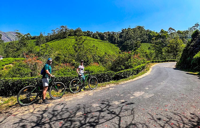 half-day-cycling-tour-munnar