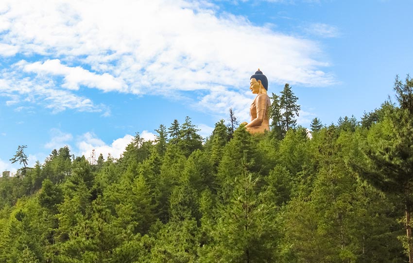 high-tea-at-the-forests-of-the-kuensel-phodrang-park